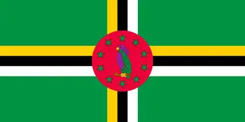 90x150cm bandera de pavilion dominicana