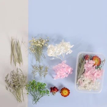 Naturale, Flori Uscate DIY Accesorii lucrate Manual Decorațiuni interioare Ierbar Pentru Pandantiv Colier Bijuterii Materiale de Umplere