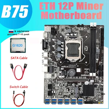NOU-B75 ETH Miniere Placa de baza 12 PCIE La USB Cu G1620 PROCESOR LGA1155 MSATA Suport 2XDDR3 B75 USB BTC Miner Placa de baza